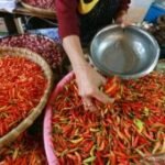 Harga cabai rawit capai Rp60.700/kg, telur ayam Rp29.000/kg per Jumat pagi