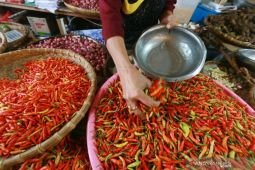 Harga cabai rawit capai Rp60.700/kg, telur ayam Rp29.000/kg per Jumat pagi