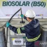 Pakar pertanian: B50 perkuat harga CPO dan sejahterakan petani sawit