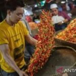Harga pangan Rabu ini, cabai rawit Rp58.400/kg dan telur ayam Rp29.000/kg