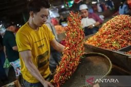 Harga pangan Rabu ini, cabai rawit Rp58.400/kg dan telur ayam Rp29.000/kg
