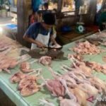 Harga daging ayam Rp37.000/kg di Minggu pagi