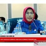 Kasus dr Icha pengingat pentingnya perlindungan nakes dari intimidasi