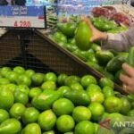 BI Jatim perkirakan kinerja penjualan eceran Surabaya terjaga pada Mei
