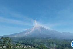 Semeru alami empat kali erupsi dengan tinggi letusan hingga 1 km