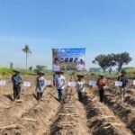 Kementan dorong percepatan hilirisasi komoditas perkebunan