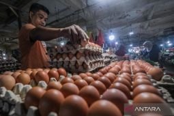 Harga cabai rawit capai Rp61.900/kg dan telur ayam Rp29.050/kg per Rabu pagi