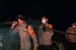 Way Kambas forest fire successfully extinguished: Lampung Police