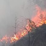 Sebagian akses Bromo ditutup imbas kebakaran Blok Batengan
