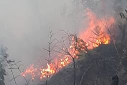 Sebagian akses Bromo ditutup imbas kebakaran Blok Batengan