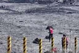 TNBTS catat area terdampak kebakaran di Bromo capai 520 hektare