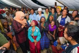 Gubernur Khofifah dorong pendampingan psikososial bagi lansia korban gempa NTT
