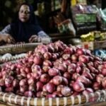Harga telur ayam Rp29.650/kg, bawang merah Rp40.450/kg