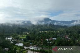 Kemenhut perkuat transformasi perdagangan karbon yang inklusif