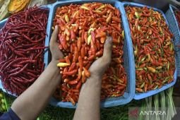 Harga pangan Sabtu ini, cabai rawit Rp70.450/kg dan telur ayam Rp29.350/kg
