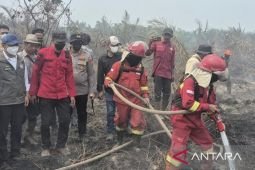 Gov't to add hydrant wells fighting peatland fires
