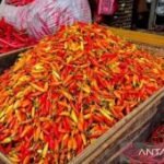 Harga pangan Selasa ini, cabai rawit Rp61.450/kg dan telur ayam Rp31.800/kg