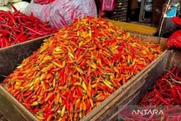 Harga pangan Selasa ini, cabai rawit Rp61.450/kg dan telur ayam Rp31.800/kg