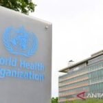 WHO: Risiko penyebaran virus Bourbon di AS masih rendah