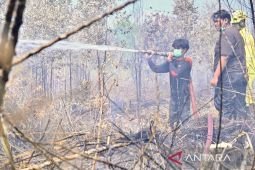 Kemenhut: Pemegang PBPH wajib lakukan langkah ekstra tangani karhutla