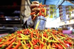 Harga pangan Senin, cabai rawit Rp87.250/kg dan telur ayam Rp31.450/kg