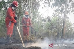 Pemerintah perkuat modifikasi cuaca untuk atasi karhutla di Kalimantan