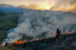 Karhutla di Kawah Wurung Bondowoso capai 10 hektare