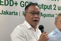 Indonesia's village cooperatives may join carbon market: minister