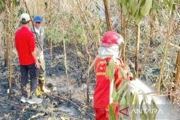 Indonesia steps up peatland wetting to fight South Kalimantan fires
