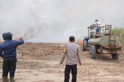 SGN gandeng Polda Sumsel kendalikan kebakaran lahan tebu di Ogan Ilir