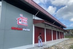 Mendes bantah Kopdes Merah Putih  matikan toko kelontong di daerah