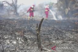 Purbaya pastikan siap tambah dana untuk kebutuhan atasi karhutla