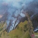 BNPB: Luas kebakaran di kawasan Bromo capai 60 hektare