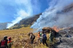 Karhutla di Bromo belum padam dengan luas lahan terbakar 10 ha