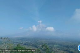 Mount Semeru erupts eight times, sends ash 700 meters high