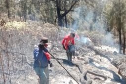 BPBD Jatim siapkan "water bombing" padamkan karhutla Arjuno-Welirang