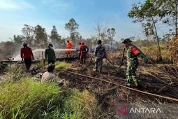 BNPB lindungi habitat gajah di TNWK Lampung dari ancaman karhutla