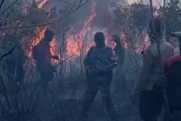 Kebakaran hutan TN Way Kambas masih dalam proses pemadaman