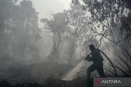 TNI mobilizes 14,167 soldiers to support firefighting operations
