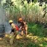 BPBD Magetan ingatkan jangan sembarangan nyalakan api di area mudah terbakar