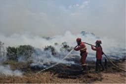 Kemenhut tambah personel, perkuat operasi udara hadapi karhutla Sumsel