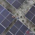 BRIN studies next-generation solar panels to boost energy independence