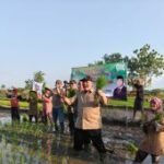 Bambang Haryo apresiasi Desa Wonokalang tiga kali tanam padi