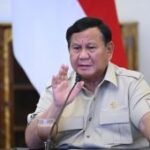 Presiden undang akademisi bahas pencegahan kebakaran di lahan gambut