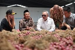 Zulhas: Ekspor ke Thailand perluas pasar bawang merah Brebes
