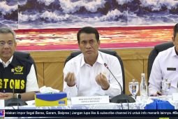 Minister details Indonesia's shifting role in global rice market
