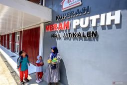 Menkop: Kopdes Merah Putih mulai "soft launching" operasional Oktober