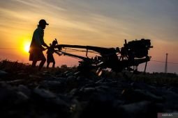 Upaya Kementerian PU dalam mengantisipasi dampak El Nino