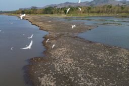 Lahan Waduk Sutami dimanfaatkan untuk pertanian