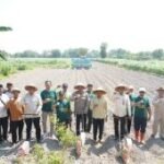 Pemkab Kediri tanam jagung perkuat ketahanan pangan